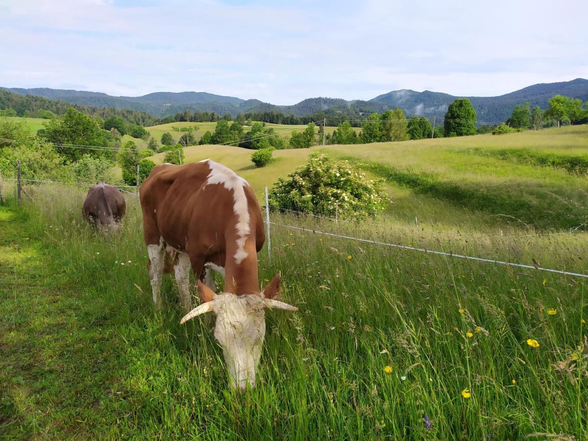 Tourist Farm Strle With Great Local Food Villa Cerknica Exterior photo