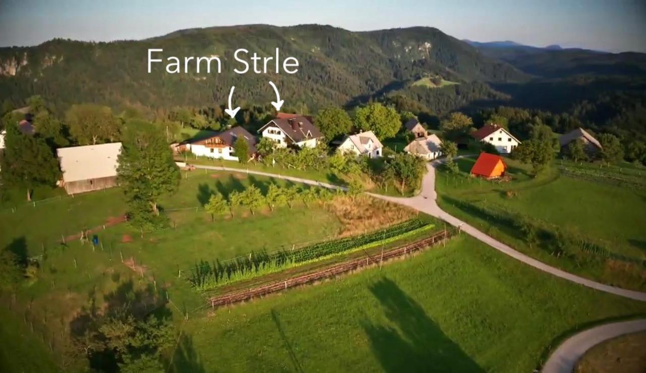 Tourist Farm Strle With Great Local Food Villa Cerknica Exterior photo