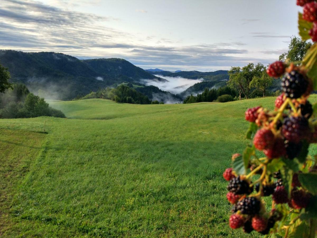 Tourist Farm Strle With Great Local Food Villa Cerknica Exterior photo