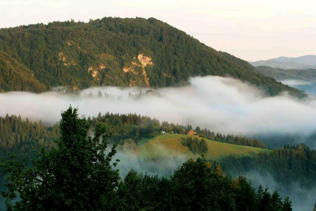 Tourist Farm Strle With Great Local Food Villa Cerknica Exterior photo