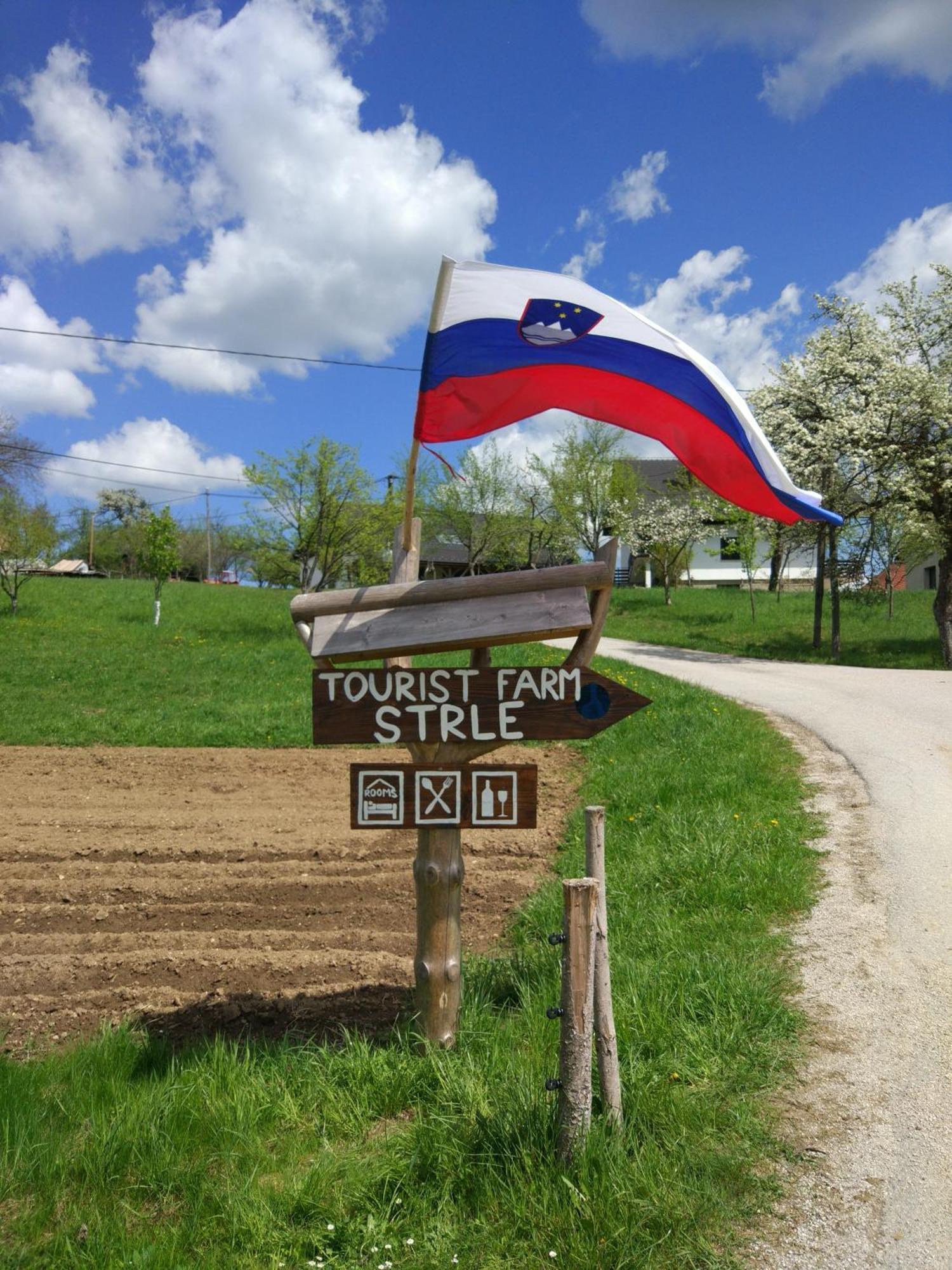 Tourist Farm Strle With Great Local Food Villa Cerknica Exterior photo